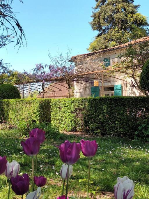 דירות לוזרט Charmant Studio Avec Jardin A La Campagne Sur Le Chemin De Saint Jacques De Compostelle מראה חיצוני תמונה